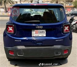 جيب رينيجيد